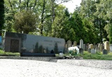 baner1