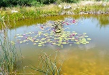 baner1