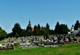 baner1