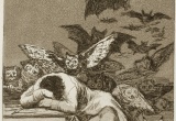 baner1