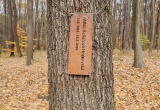 baner1
