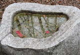 baner1