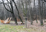 baner1