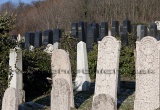 baner1