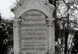 baner1