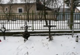 baner1