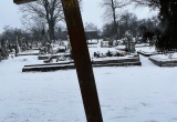 baner1
