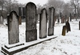 baner1