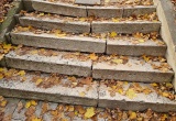 baner1