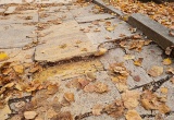 baner1