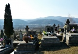 baner1