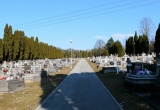 baner1