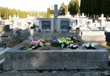 baner1