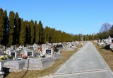 baner1
