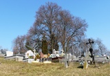 baner1