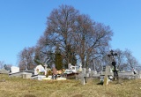 baner1