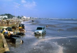baner1