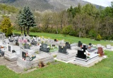 baner1
