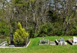baner1