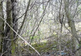 baner1
