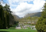baner1