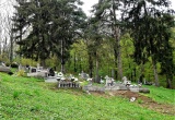baner1