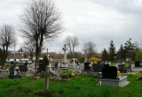 baner1