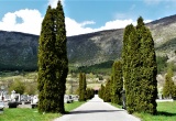 baner1