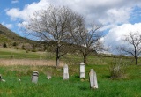 baner1