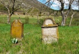 baner1