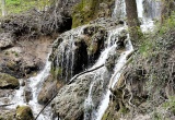 baner1