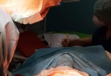 baner1