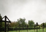 baner1