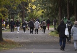 baner1