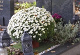 baner1