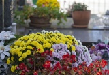 baner1