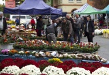 baner1