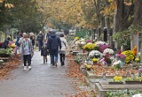 baner1