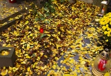 baner1