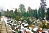 baner1