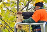 baner1