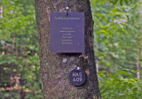 baner1