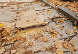 baner1