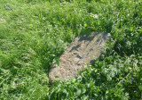 baner1