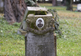 baner1