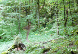 baner1