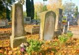 baner1