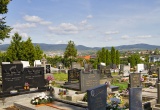 baner1