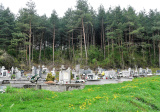 baner1