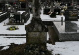 baner1
